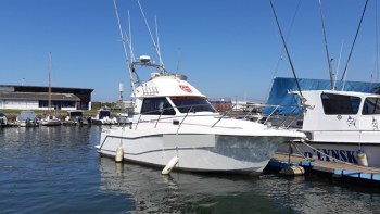 bowman yacht sales